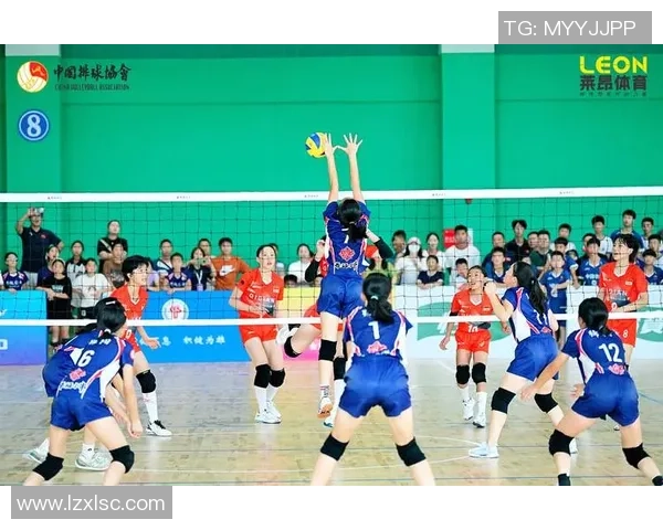 成都排球队的力量分析与发展潜力探讨