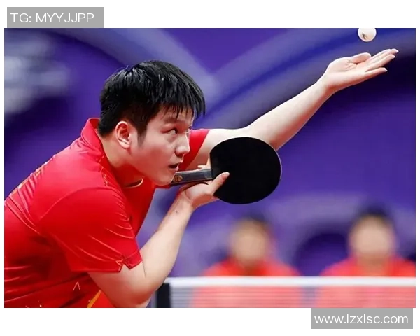 深圳乒乓球队荣登全国比赛经验排行榜第五名引发关注