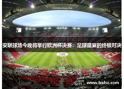 安联球场今晚将举行欧洲杯决赛：足球盛宴的终极对决